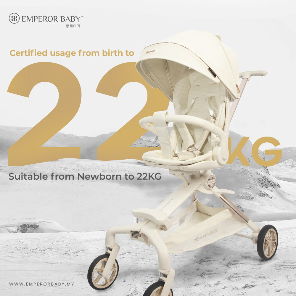 I ProX Stroller