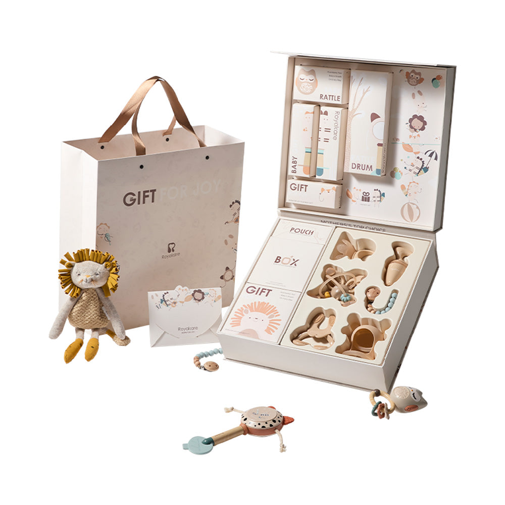 Premium Rattles & Teether Gift Set