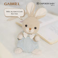 Louie Gabriel Soft Toy
