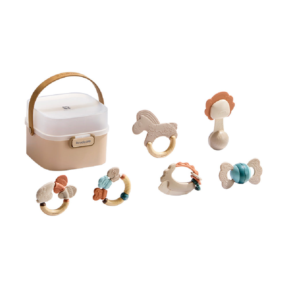 6 Piece Merry Go Rattle Set